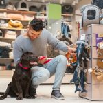 The Advantages of Buying Your Pets’ Essential Needs from an Online Pet Shop