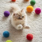 In what ways can pet toys enhance behaviour and lessen anxiety?